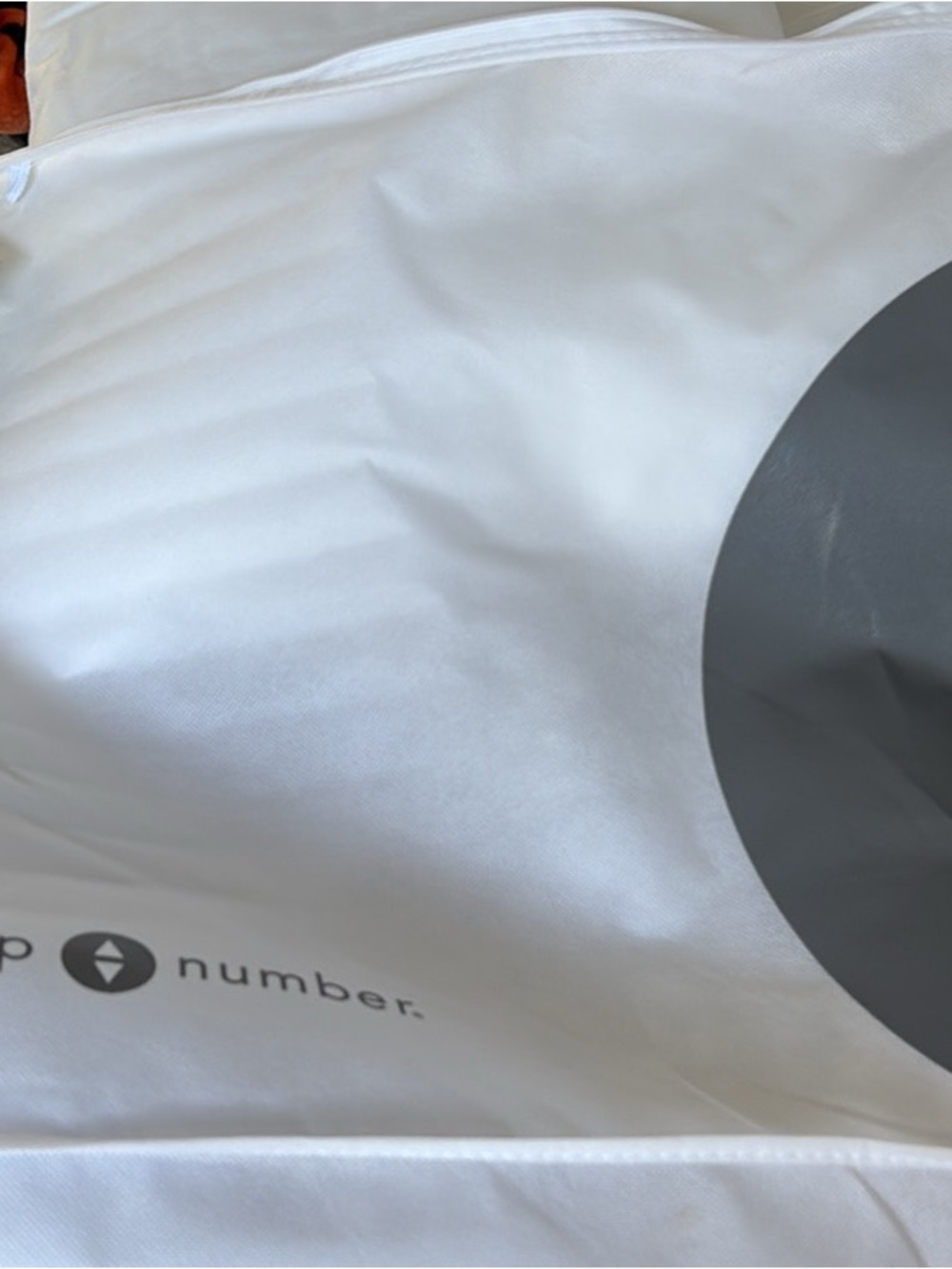 Number. White Down Alternative Pillow with Gray Accent